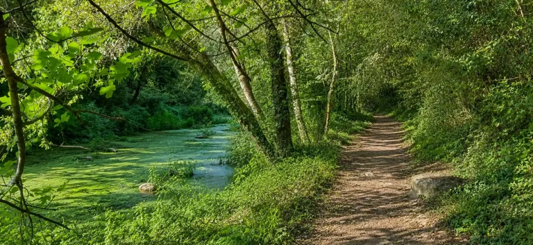 Sentier de la Brague : guide complet pour randonner entre Biot et Valbonne