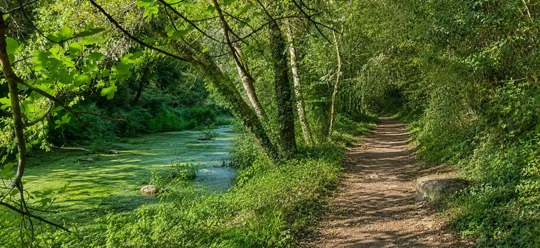 La Brague
