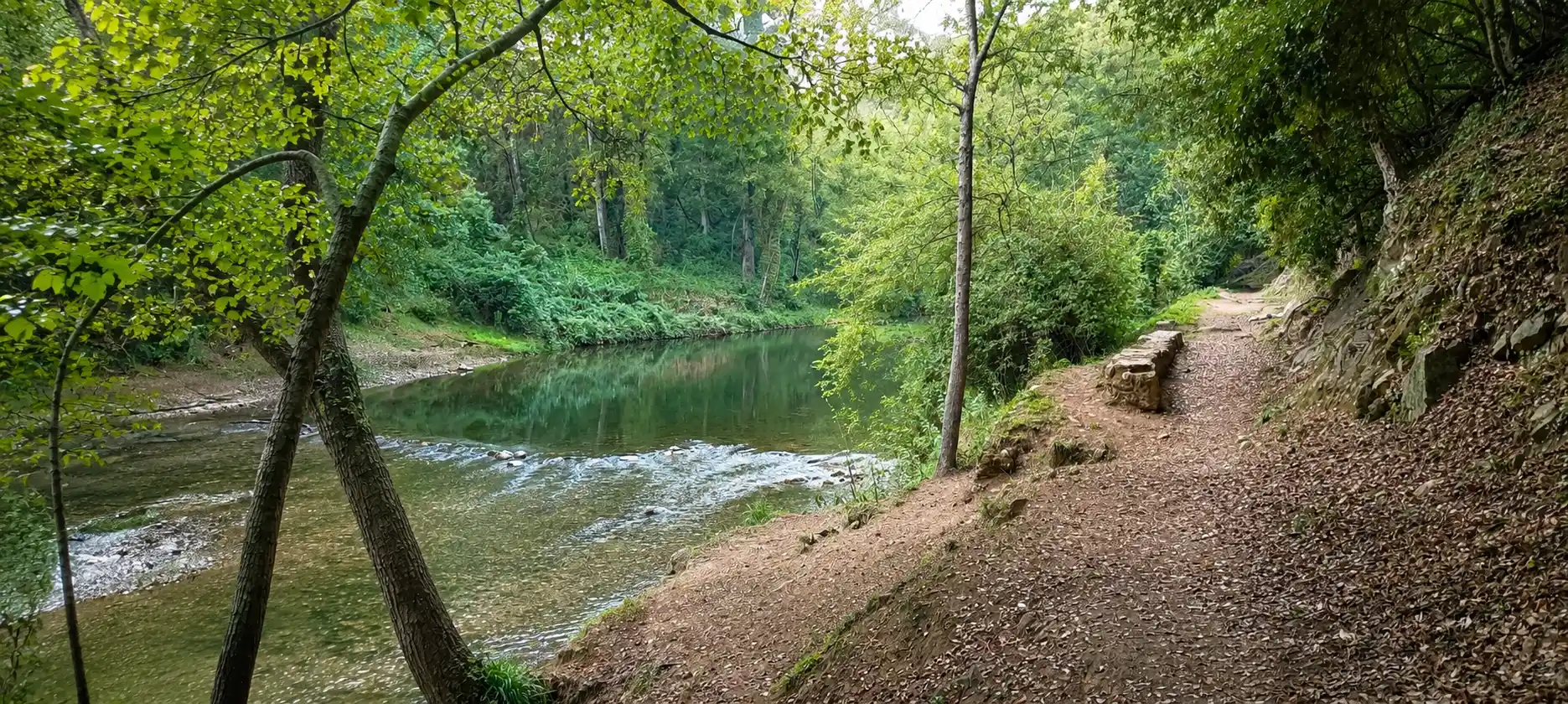 Pégomas Siagne GR51