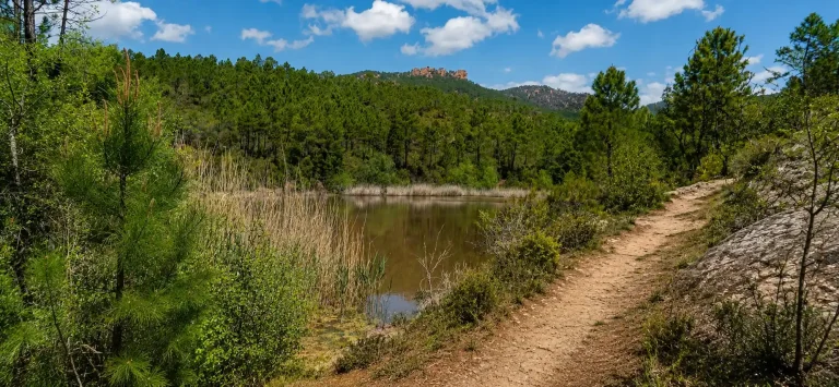 Circuit des Lacs de Puget-sur-Argens : randonnée facile en boucle de 6 km