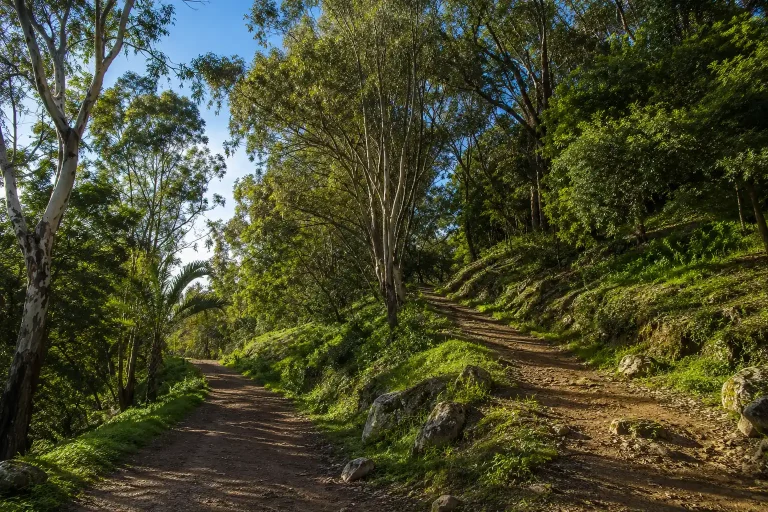 Randonnée au Parc du Paradou (Vallauris) : itinéraire, accès et conseils pratiques