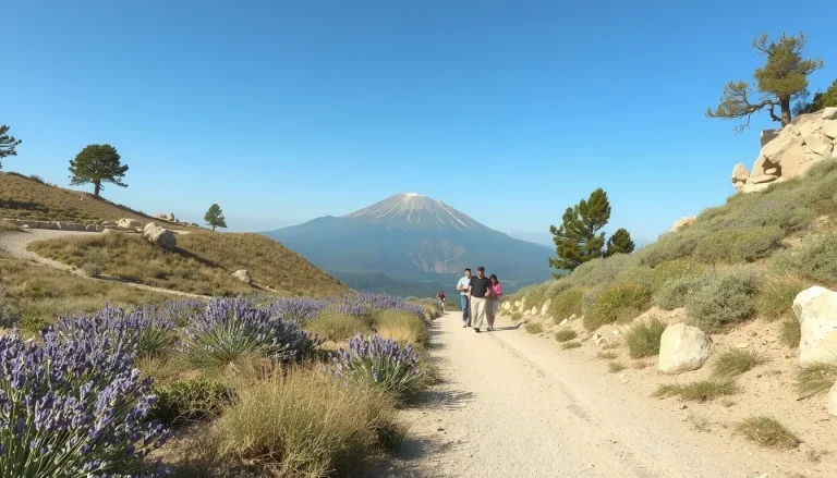 Les plus belles randonnées faciles au Mont Ventoux : 10 itinéraires accessibles (durées, distances, points de départ)