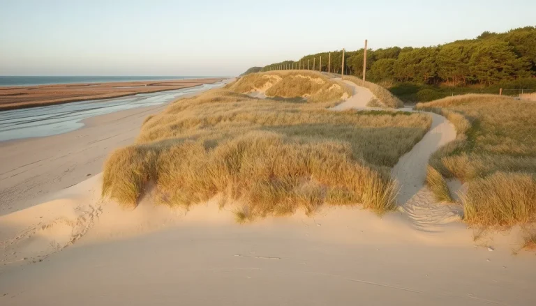 Les sentiers de randonnée à Notre-Dame-de-Monts : forêt, plage et marais